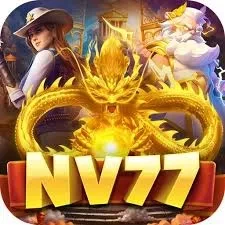 Nv77 88main